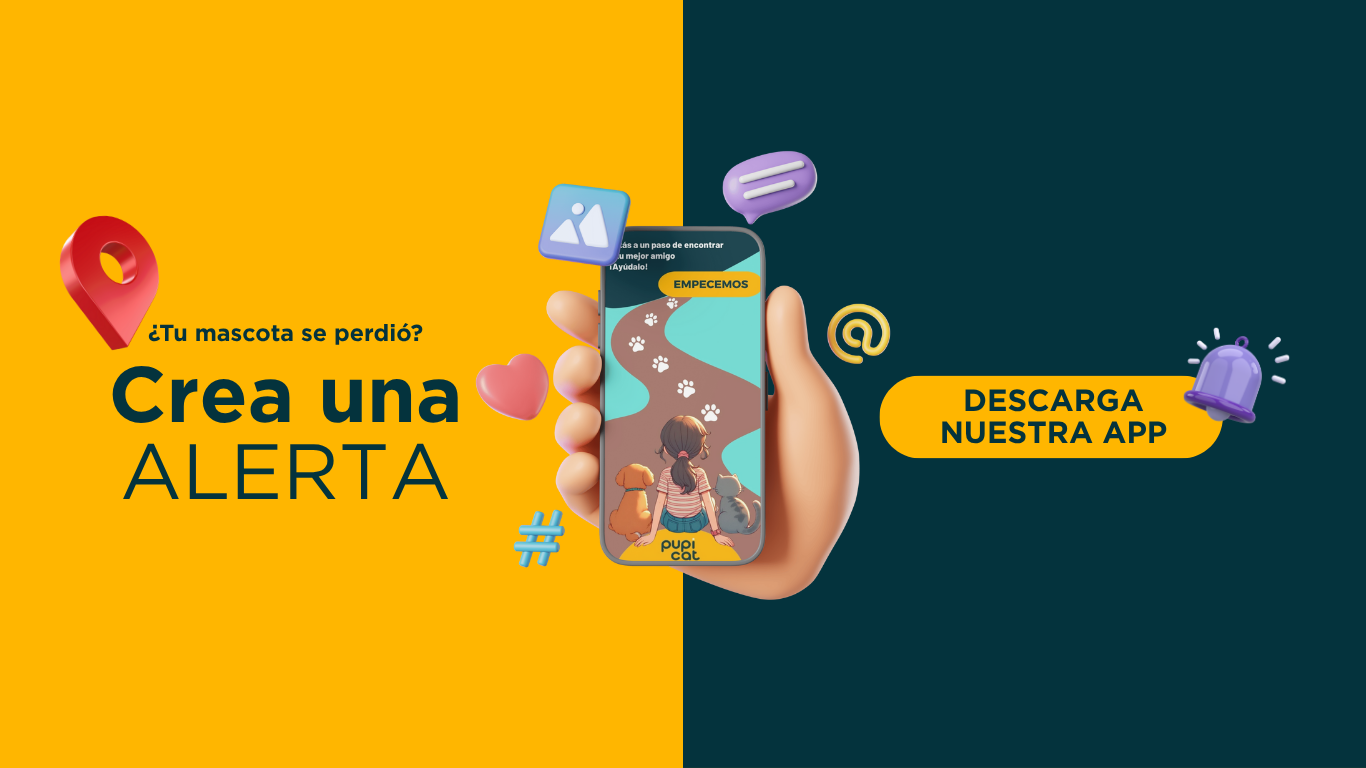 Pupicat App Alertas