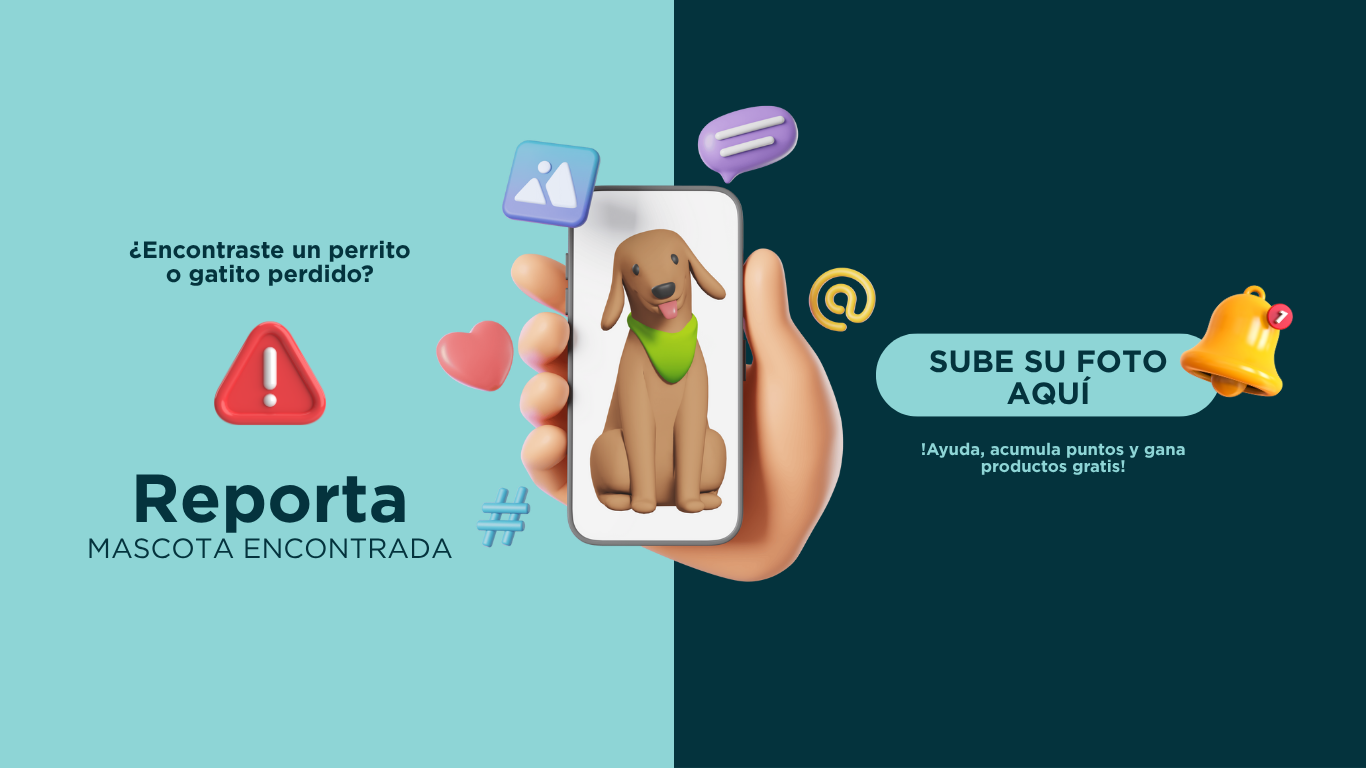 Pupicat Avistamiento